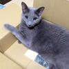 ルーナとステラの部屋