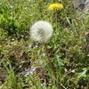 †らいふ†