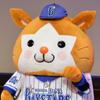 金子 健太★