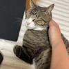 心晴れれば毎日幸せ