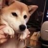 hanaもなか