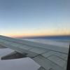 firstlight