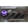 SHAMO_