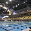 tora_swimming
