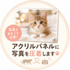 fffhobbyshop