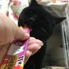 96にゃん