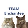 TEAMーEnchantee