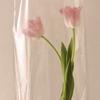 Tuulip ー 手紙占い