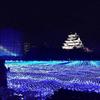 奥田陽