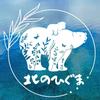 北のひぐま