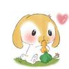 yellowrabbit