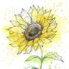 chitose flower