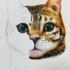 ドイチャンマン