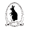 BLACK RABBIT