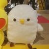 ぴすけ01