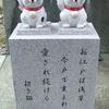 takasenpai