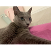 ＊＊mai＊＊