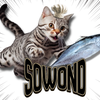 sowond