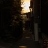 ずんずんずんだもち