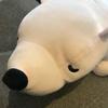 シロクマ先生