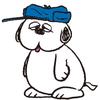 NiNi43