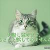 ゆうり29