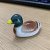 duck＠ゲームクリエイター