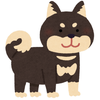 nyanshi