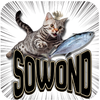sowond