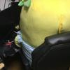 すずん