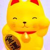 happycat