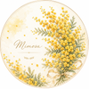 ⭐︎Mimosa⭐︎