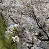 keisuke_69