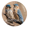aino_michi かやこ