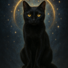 占い猫 フィオ