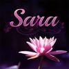 デザインSara