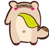 たぬきさん　tanuki