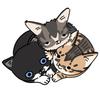 ゆずりは さとし