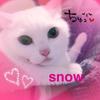 すかりー7