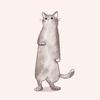 nekomaroon