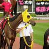 タレゾー