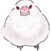んよぴ