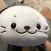 コチオ