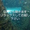 お話お聞きします