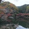 住めば都