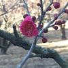 berry0408