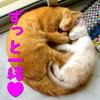 ひとみたん