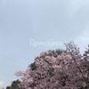 せらもじ