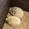 【悩まず気軽に話しませんか？】ゆー