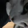 ジュウゴヤ